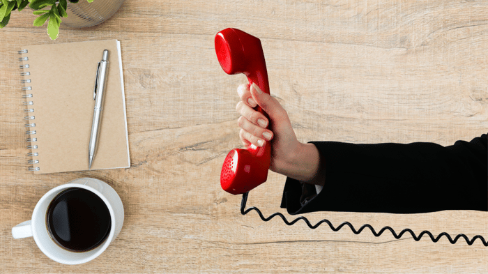 VoIP Line Rental image